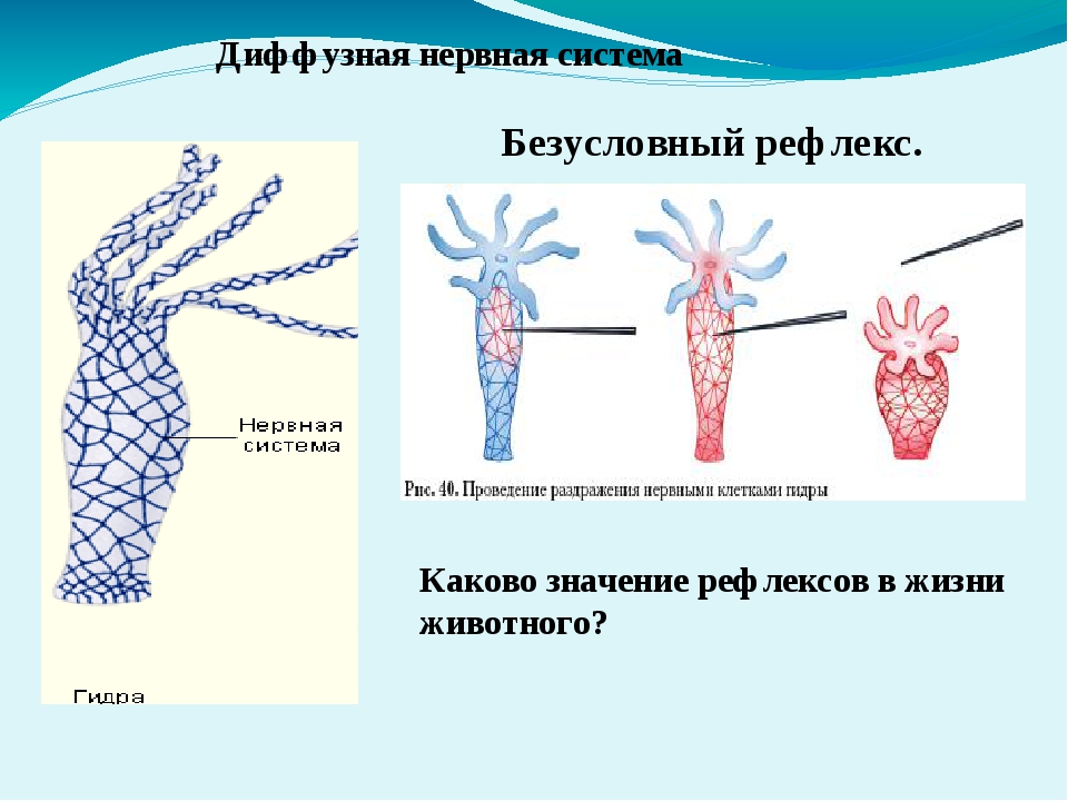 Вход на кракен