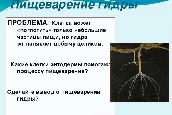 Кракен маркет свежие ссылки