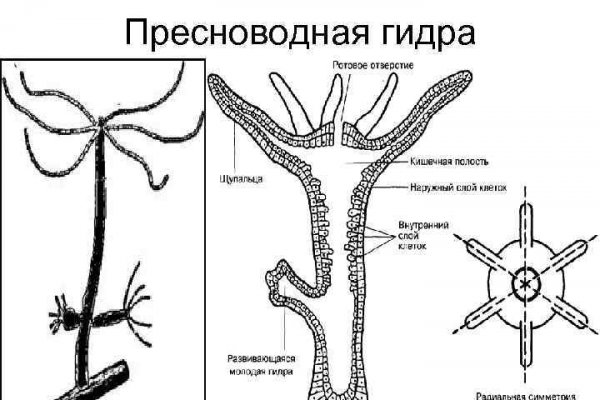 Кракен тор ссылка